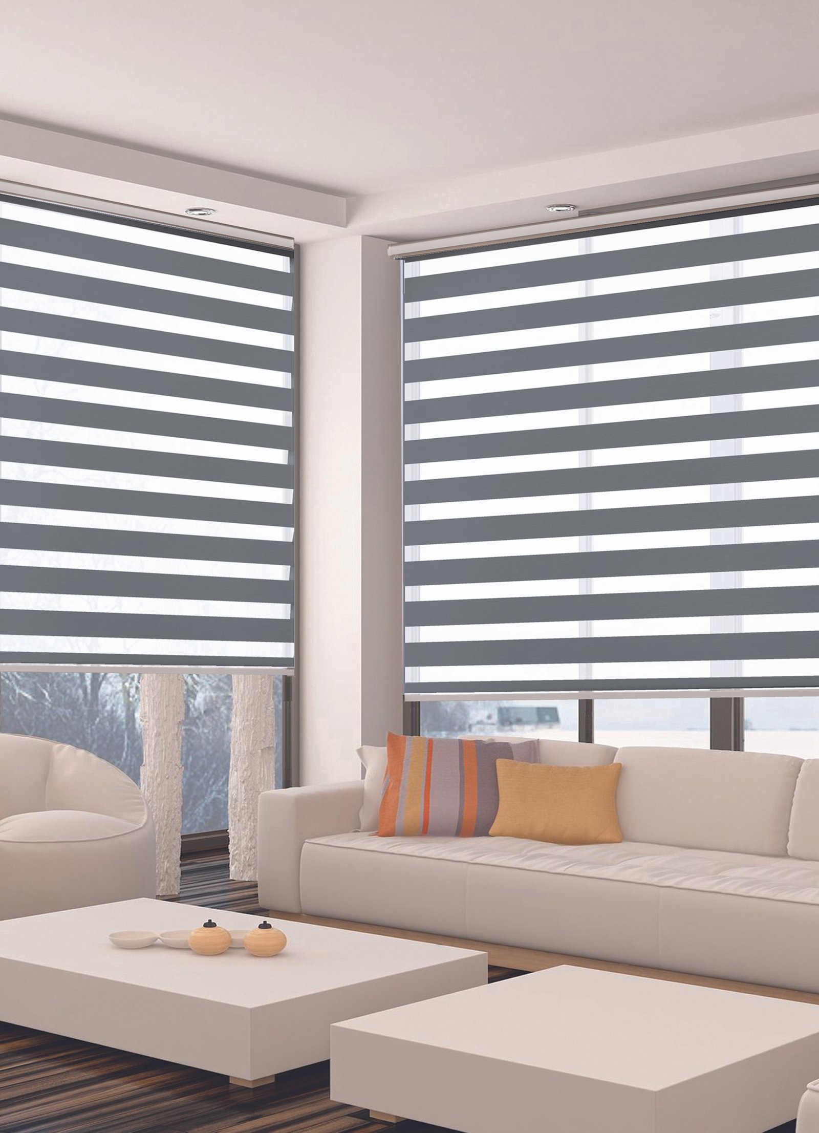 Zebra Blinds